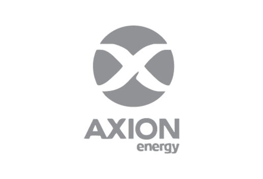 Axion